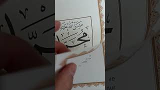 Hz peygamberin albümü kitap tanıtımları 67) MUHAMMED EMİN YILDIRIM