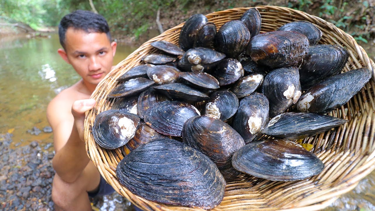 freshwater clam