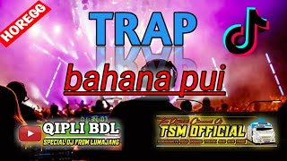 dj tiktok bahana pui full bass versi QIPLI BDL