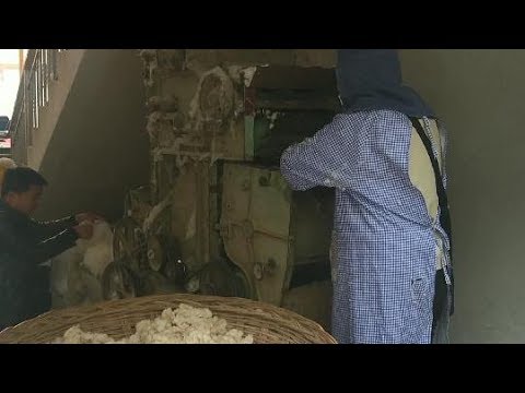 弹棉花的有人见过吗 先轧去籽 再弹棉蓬松 就得到了雪白棉花 Youtube