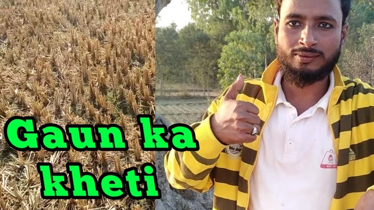 Desi Lifestyle Vlog || AlauZone