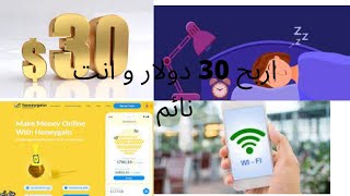 الربح من الانترنت للمبتدئين,الربح من الانترنت بدون رأس مال