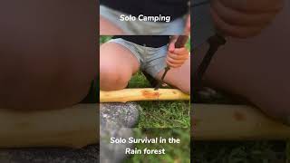 3 Day Solo Survival In The Rain Forest