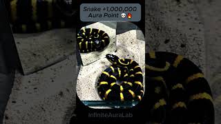 Is this the highest Aura snake? 🐍✨ #snake #gaming #shorts