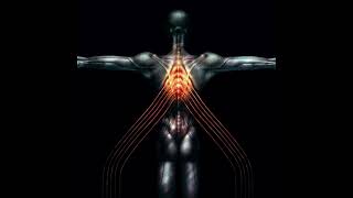 Watch Tool LAMC video