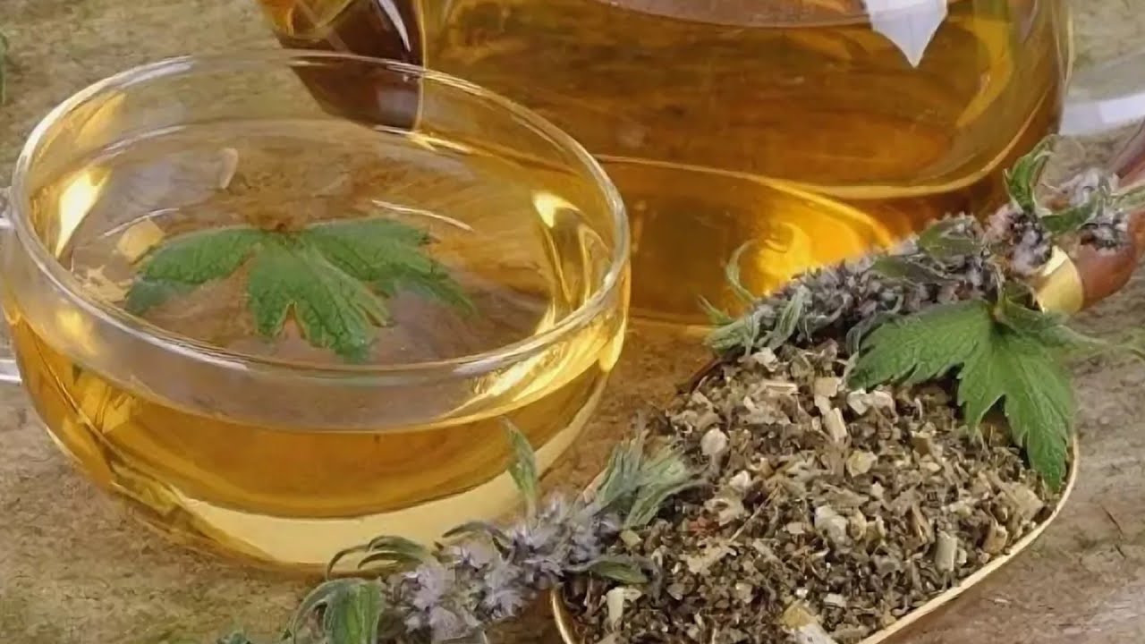 ПУСТЫРНИК - все лекарства в одном растении! Снижает уровень холестерина в крови, давление и др.!