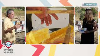 Erzi̇ncan Oba Ballari Davetsi̇z Mi̇safi̇r Showtürk