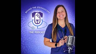 From Clock in to Clock out: What 12 Hours as an ER Veterinarian Looks Like
