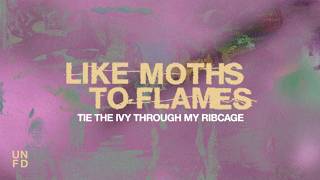 Tie the Ivy Through My Ribcage - Like Moths To Flames