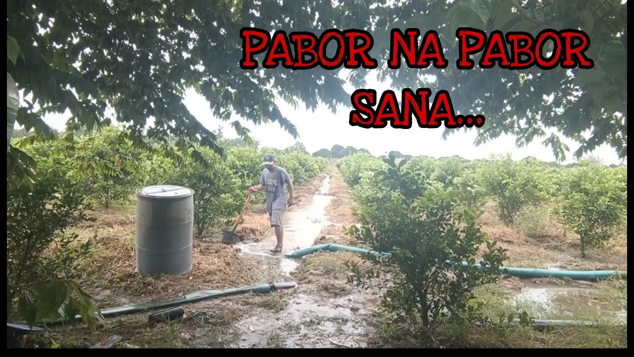 PABOR NA PABOR SANA HINDI PA BINIGAY....