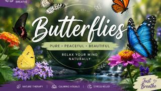 Floating Wings of Peace 🦋 | Calming Butterfly Garden for Deep Relaxation & Stress Relief screenshot 4