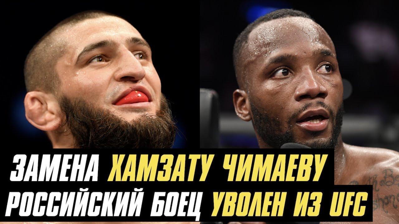 Замена Хамзату Чимаеву, российский боец уволен из UFC, экс-боец UFC подписан в PFL