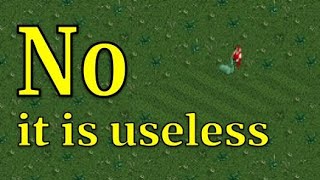 Does mowing the grass in RCT2 do anything?