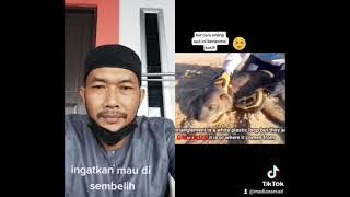 Jika haiwan boleh menunjukan ucap terima kasih, apatah lagi kita manusia, renung²kan lah