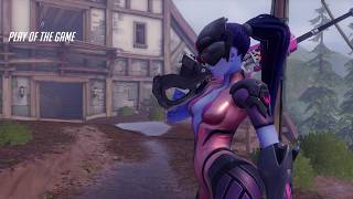 potg widow paintball