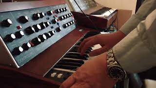 GB mini modular - minimoog Model D clone