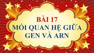 Soạn Sinh 9 Bài 17: Mối quan hệ giữa gen và ARN … – Download.vn