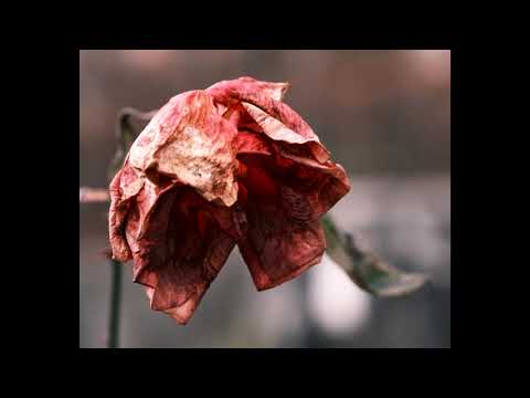   ذكرياتي معاك 2  