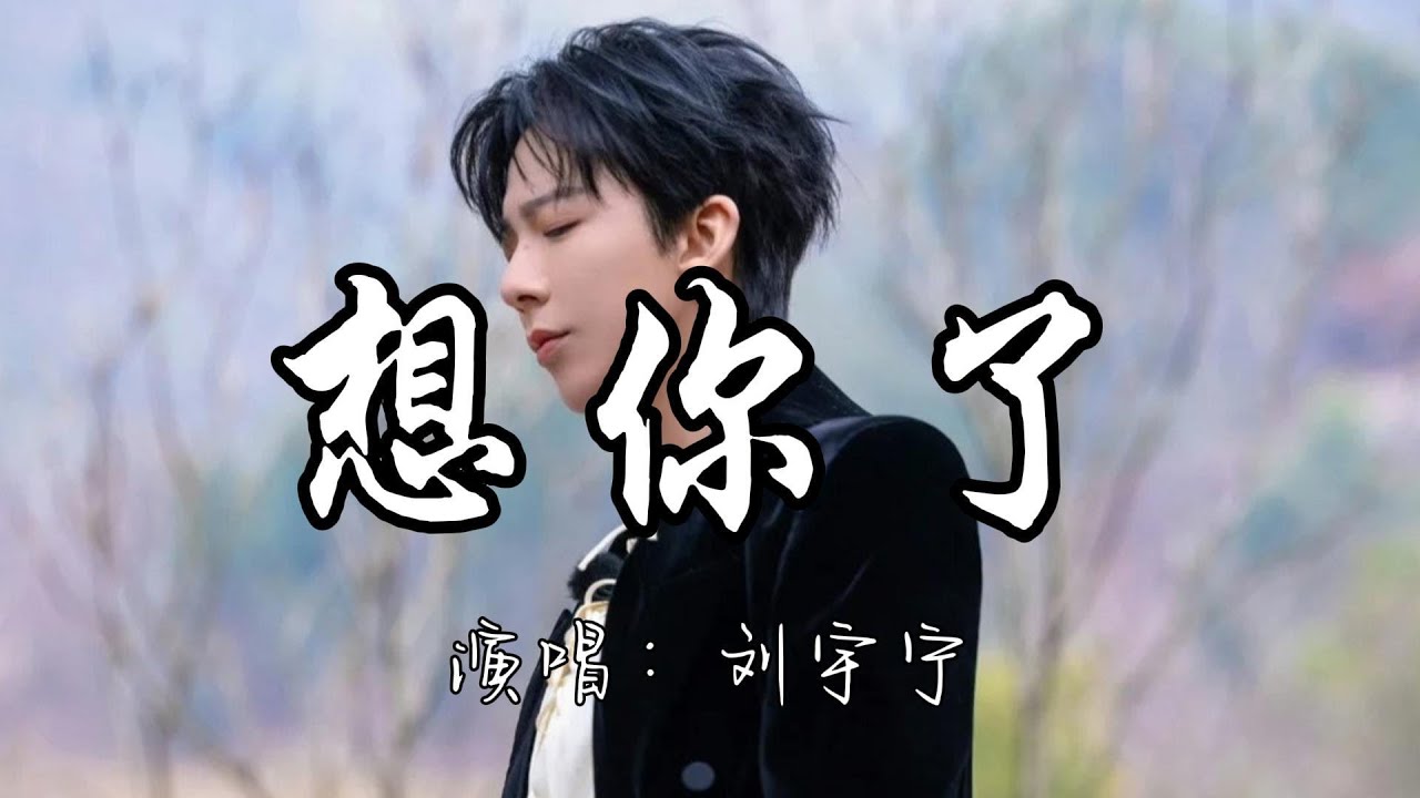 刘宇宁 - 想你了『星辰一片一片坠 汇成一夜一夜黑 再逆流而上 我又一次地 想你了。』『动态歌词MV』#新歌更新 #必听热门歌曲 #歌曲推薦 ...