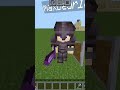 Minecraft PVP