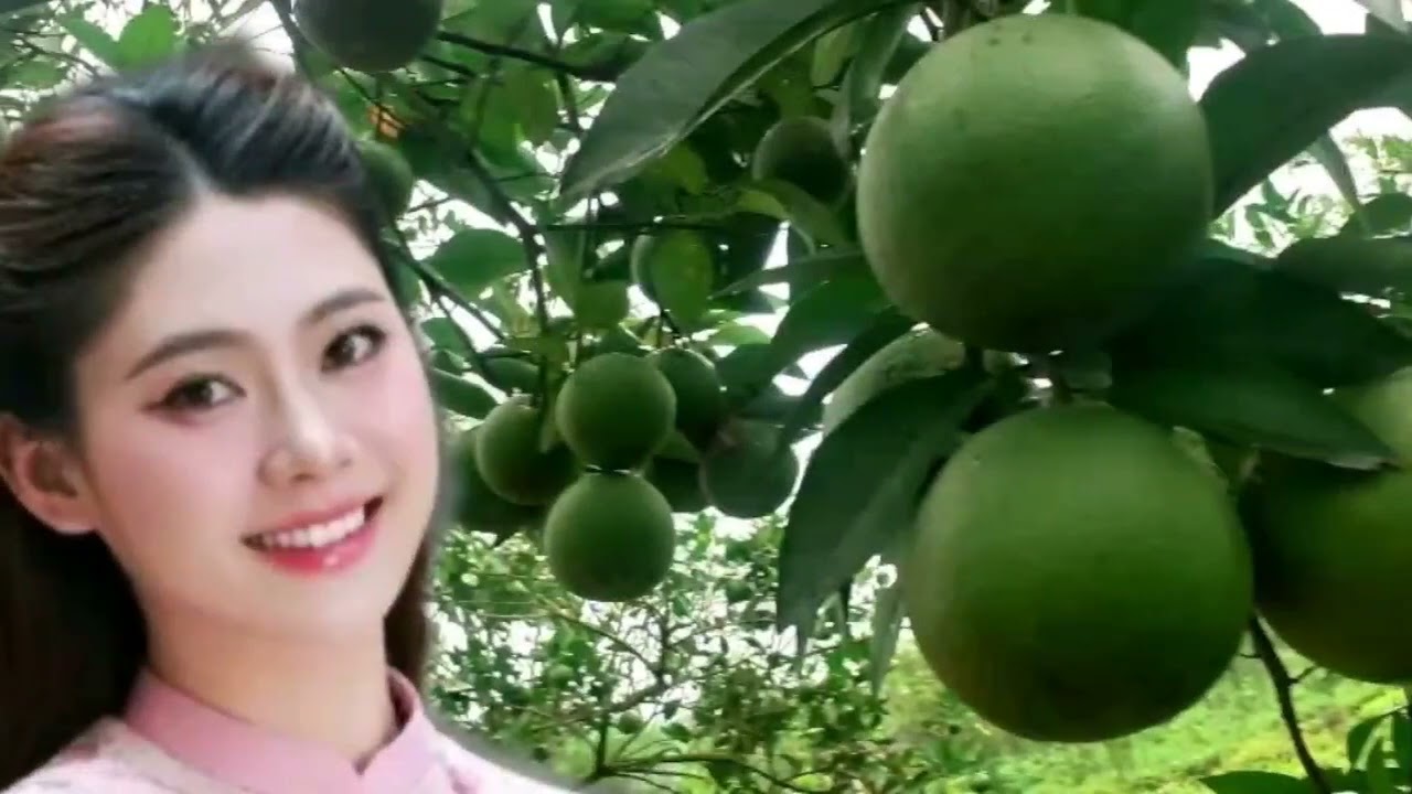 Ngọc sơn và những bài hát hay..