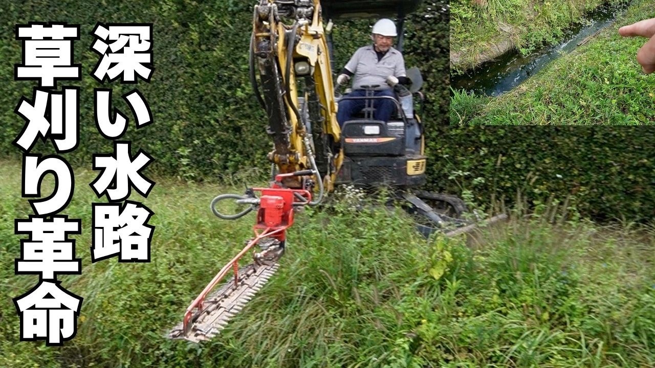 No need for a brush cutter anymore? Heavy-duty clippers will