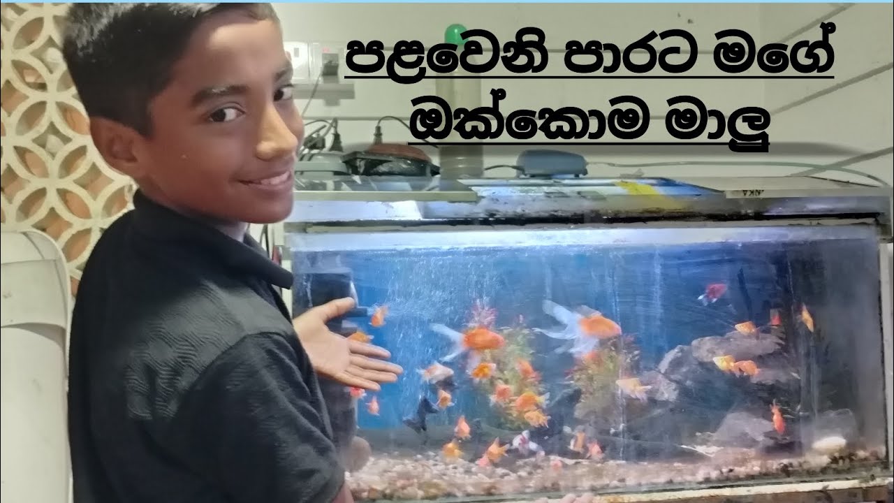 පළවෙනි වතාවට මගේ ඔක්කෝම මාලු