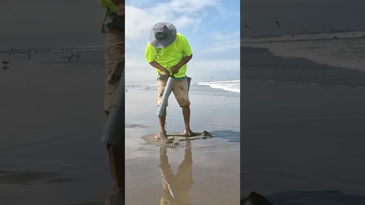 We pump ghost shrimp… the best bait in the world! 🦞🎣With @nestorc1971