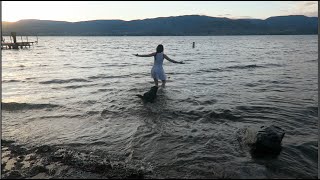 I Went In The Lake Kitty Plays