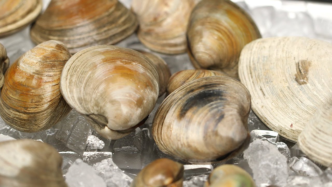 Clams 101 - Kitchen Conundrums With Thomas Joseph