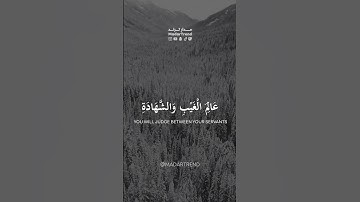 سورة الزمر - وإذا ذكر الله وحده اشمأزت قلوب الذين لا يؤمنون - ماهر المعيقلي - مدار ترند MadarTrend