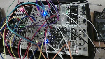 Trying out Toppobrillo Quantimator