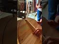 神業!丸ノコで完璧な曲線カット Insane Curved Cut on a Table Saw #shorts #satisfying #woodworking
