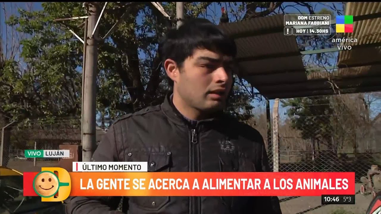 Zoo de Luján clausurado con animales encerrados: habla un colaborador