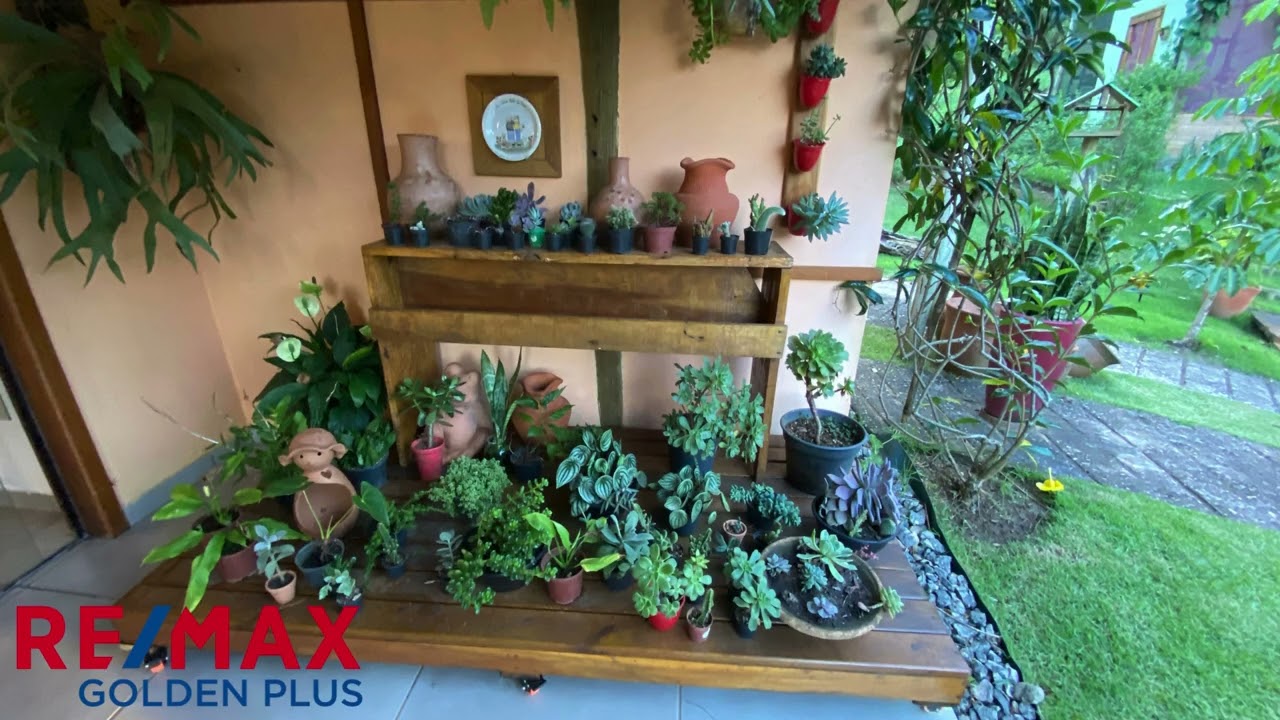 Sítio em São Francisco Xavier