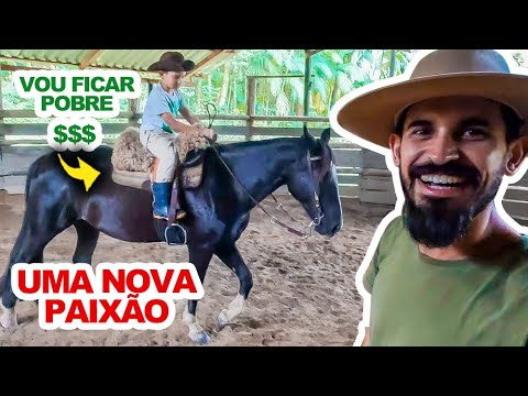 CAVALO CRIOULO, SERÁ QUE ISSO VAI ME DEIXAR POBRE 