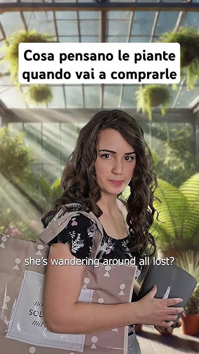 youtube.com