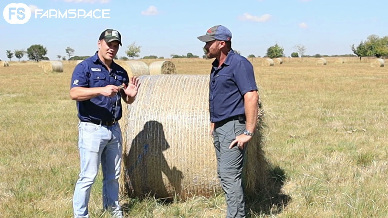 Strip Grazing Tour 2021 - Werner on why he chose Eragrostis grass