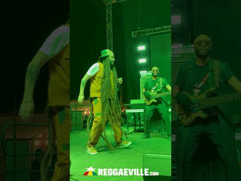 ALBOROSIE & THE SHENGEN CLAN - Living Dread @ REGGAE ON THE RIVER 2025