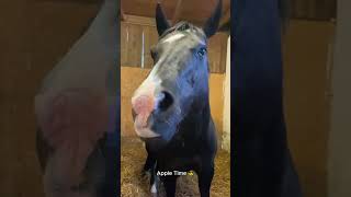Most Hilarious Horse Fails &amp; Funny Moments 2026#FarmAnimals #HorseLife #DerpHorses
