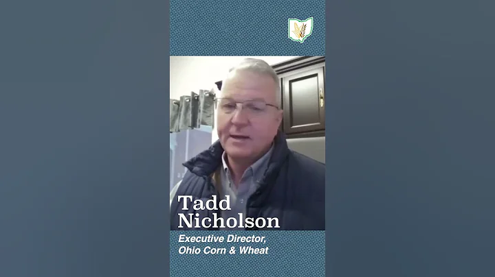 Support for Year-Round E15