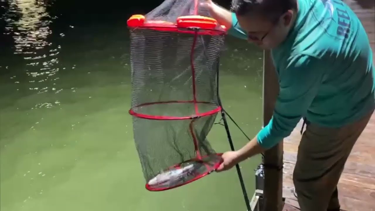 Large Fishing Net Foldable Floating | Fish Basket Review and Testing