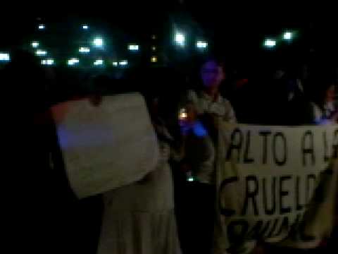 JALTENCO, CRUEL MATANZA DE GATOS Y PERROS INOFENSI...
