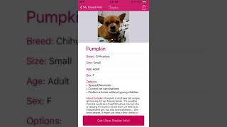 Pet Rescue Planner App Preview Video screenshot 2