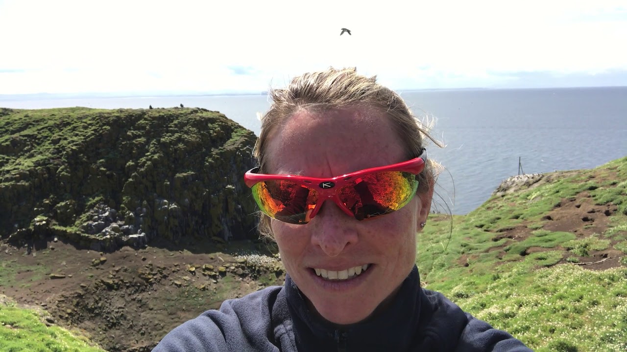 climate change projections Francesca - Why I'm on the Isle of May