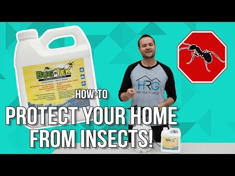 Protect your home from insects, naturally! - Bug Tek How-to