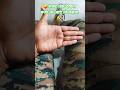 nccguru393#army commando feel #motivation #trending #song #shorts #video 🤣🤪🫡