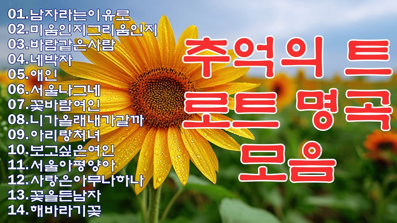 그때 그 시절 트로트 메들리💕 흘러간 옛노래 뽕짝 메들리 가사 포함 🎶 잔잔하니 듣기좋은 그때 그 시절 감성 트로트 35선