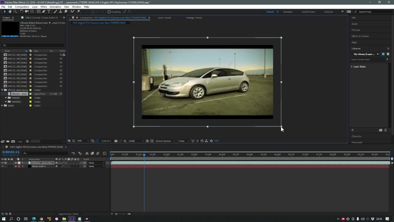 HA'S DigitalSFX (Camera Lens Blur) (719599) [WAE] Video Evidence (VE1
