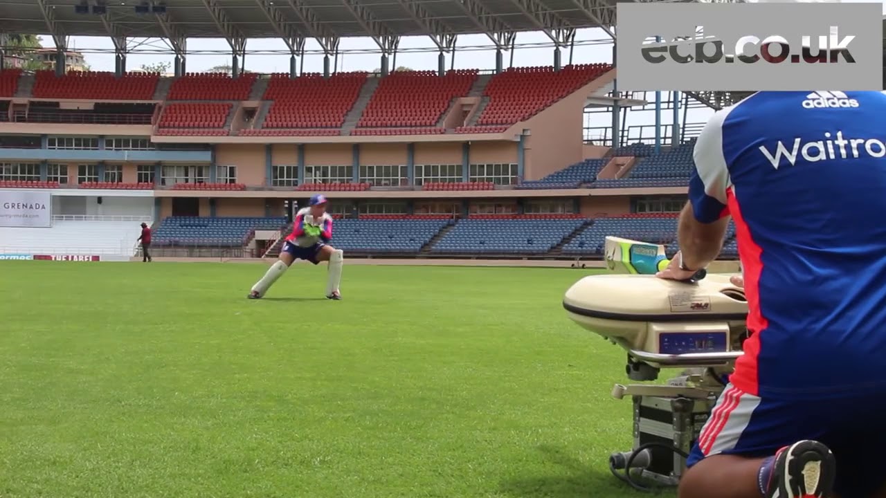 Stunning catches - jos buttler  and Jonny bairstow